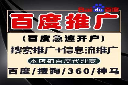 谷歌竞价案例：跨境电商广告投放策略